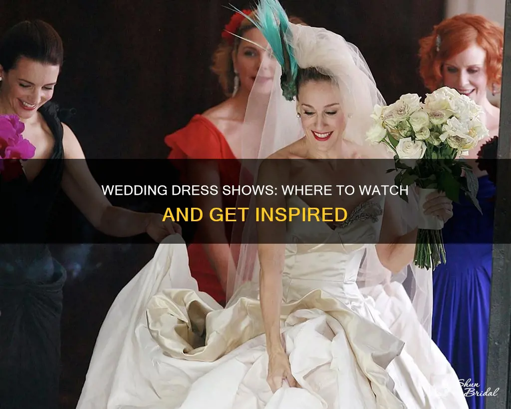 where to watch wedding dress shows