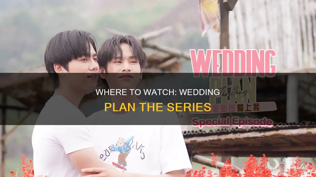 where to watch wedding plan the series