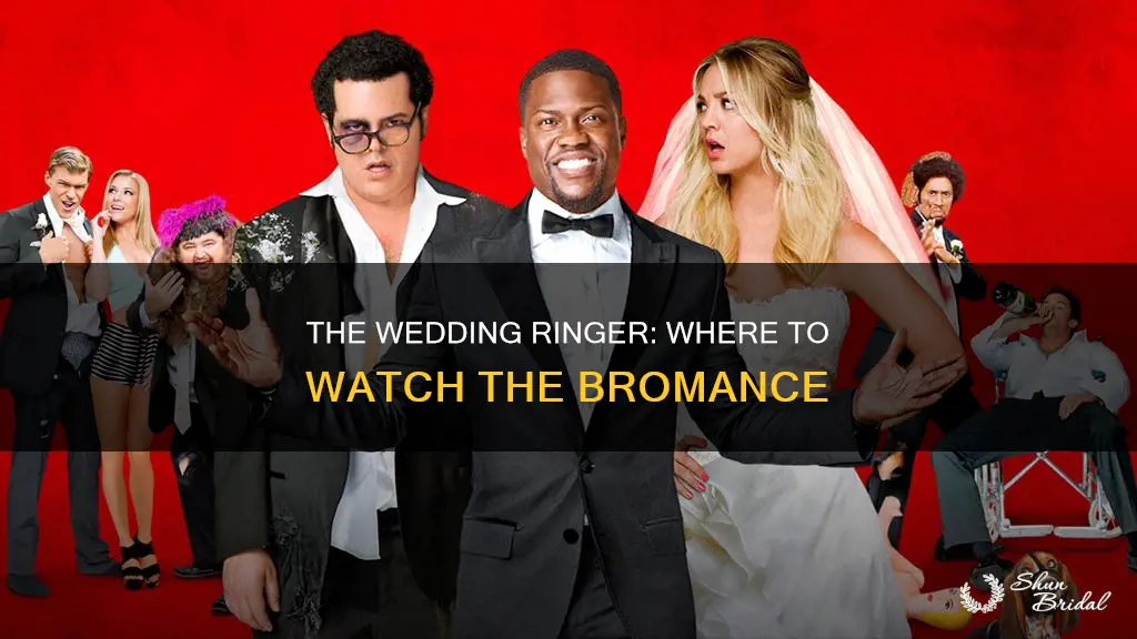 where to watch wedding ringer