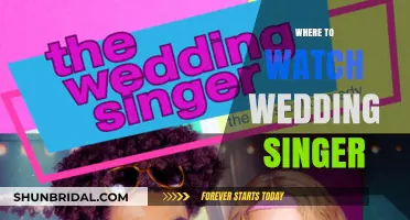 Streaming 'The Wedding Singer': Where to Watch