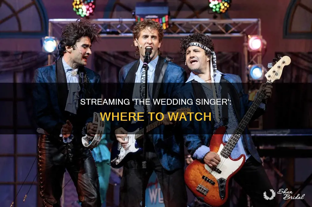 where to watch wedding singer