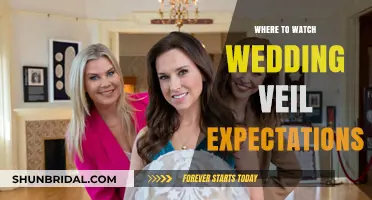 Where to Watch Wedding Veil Expectations: Streaming Guide for Fans