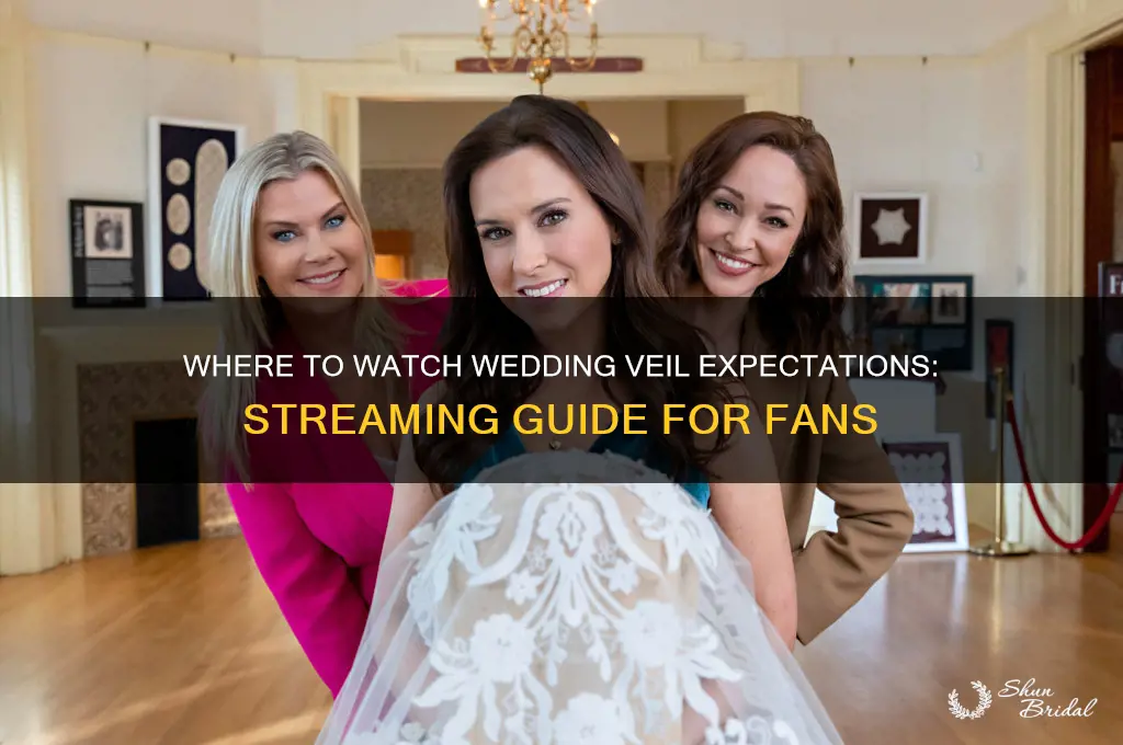 where to watch wedding veil expectations
