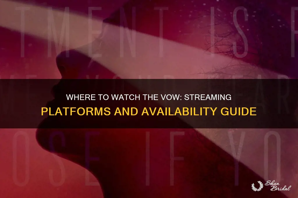 where to watxh the vow