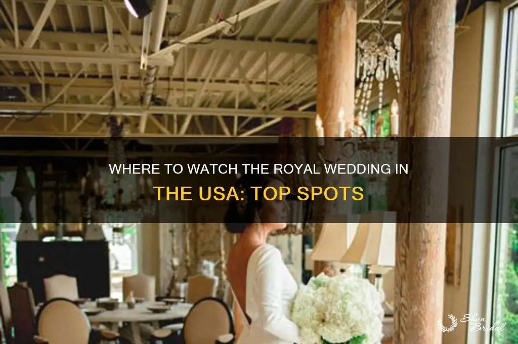 where to wqtch royal wedding in usa