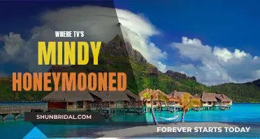 Mindy's Honeymooning Adventure: A TV Journey