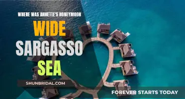 Honeymoon Hideaway: Wide Sargasso Sea's Secrets