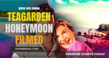 Mysteries Unveiled: Aurora Teagarden's Honeymoon Filmed in [Location]