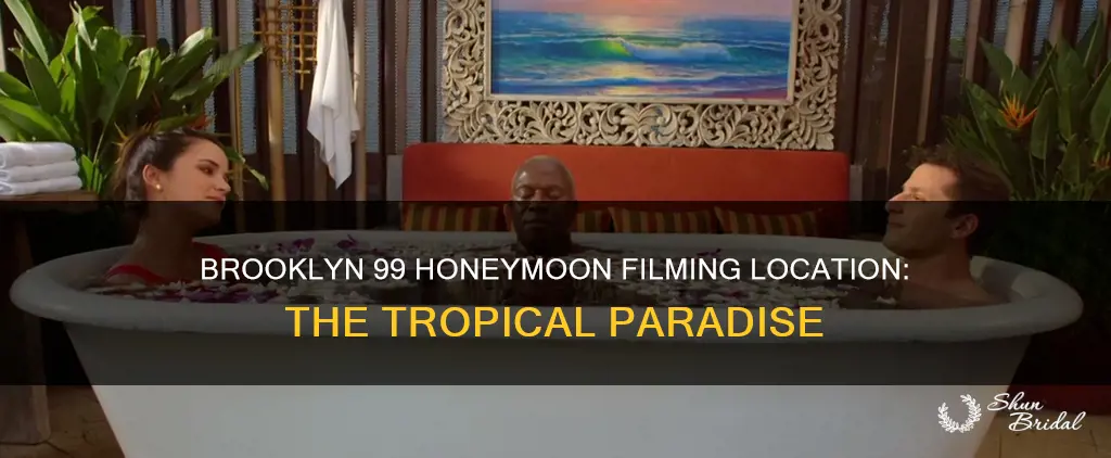where was brooklyn 99 honeymoon filmed