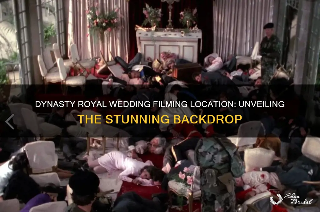 where was dynasty royal wedding shot