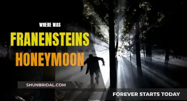 The Mystery of Frankenstein's Honeymoon: Unveiling the Hidden Location