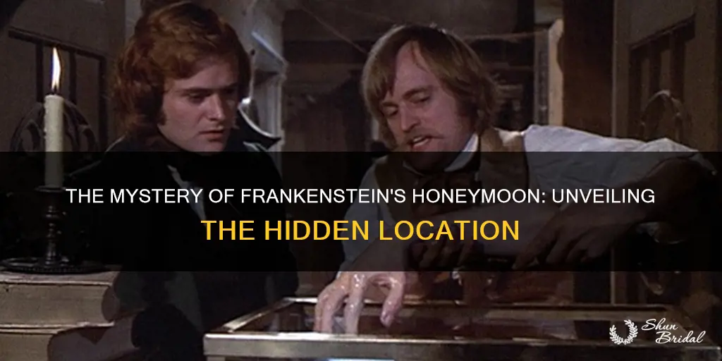 where was franensteins honeymoon