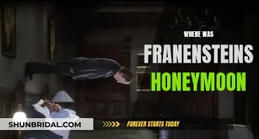 Frankenstein's Honeymoon: A Journey to the Unknown