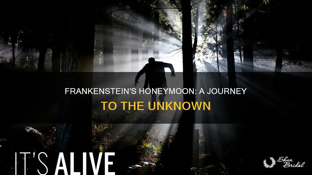 where was franensteins honeymoon