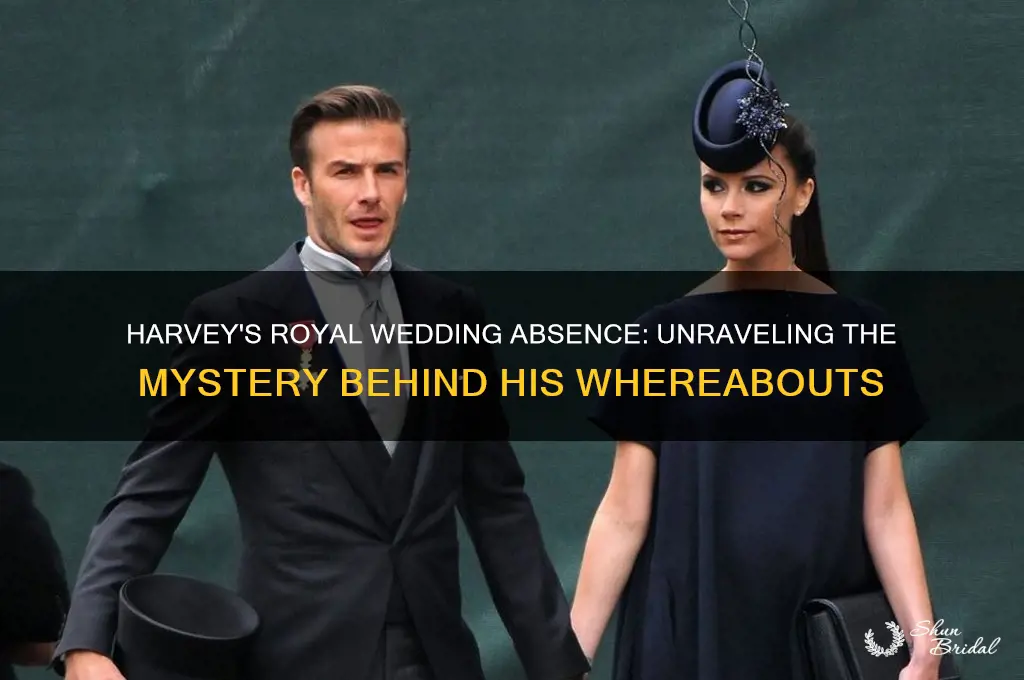 Harvey's Royal Wedding Absence Unraveling The Mystery Behind His