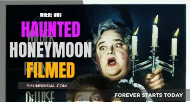 Haunted Honeymoon Filming Locations: Where Was It Shot?