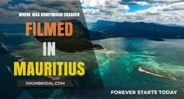 Honeymoon Crashers: Discovering Mauritius' Stunning Filming Locations