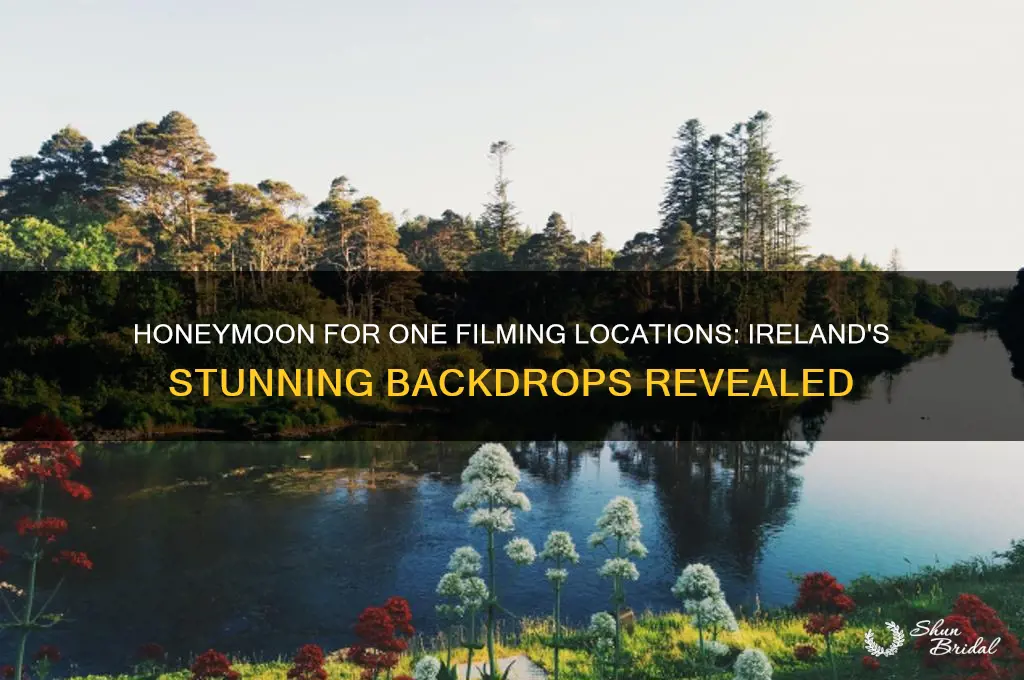 where was honeymoon for one filmed in ireland