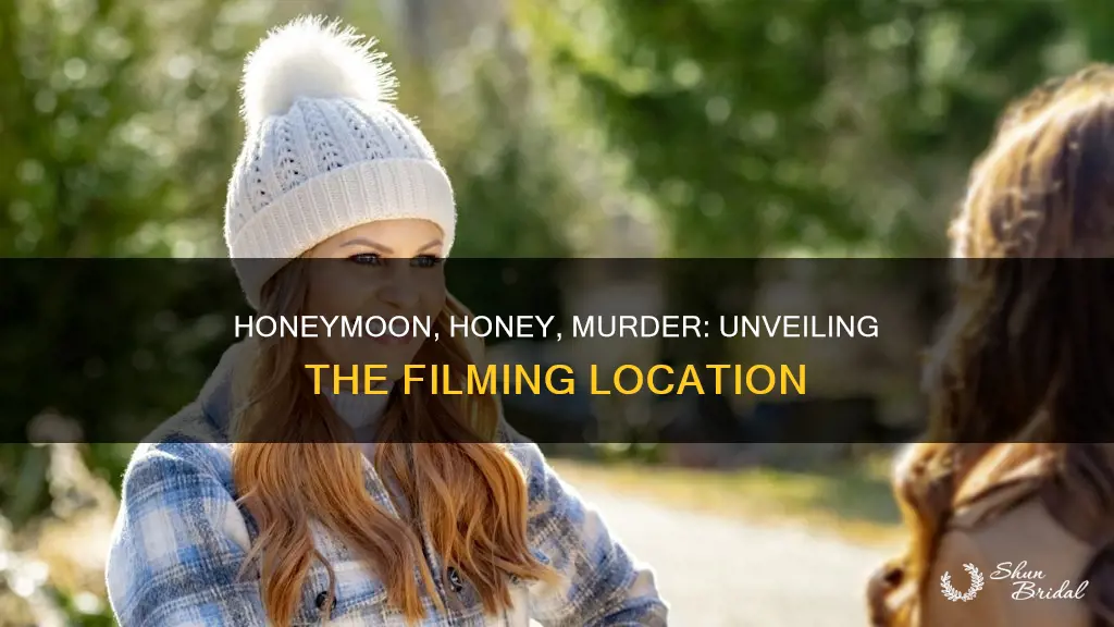 where was honeymoon honeymurder filmed