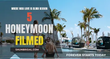 Love Is Blind Season 5: Honeymoons in Paradise