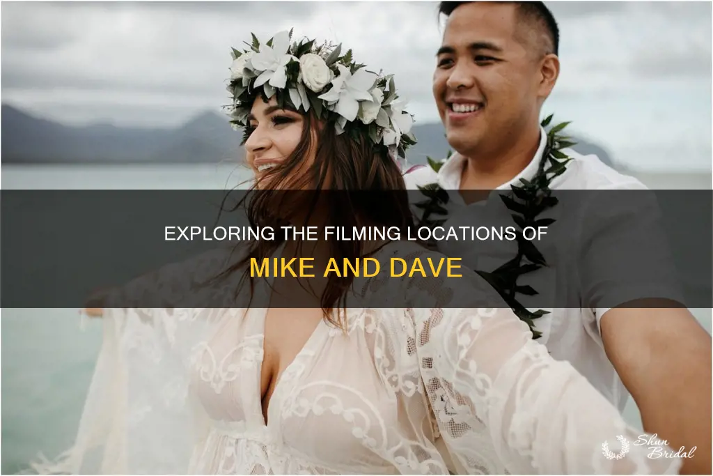 where was mike and dave need wedding dates filmed