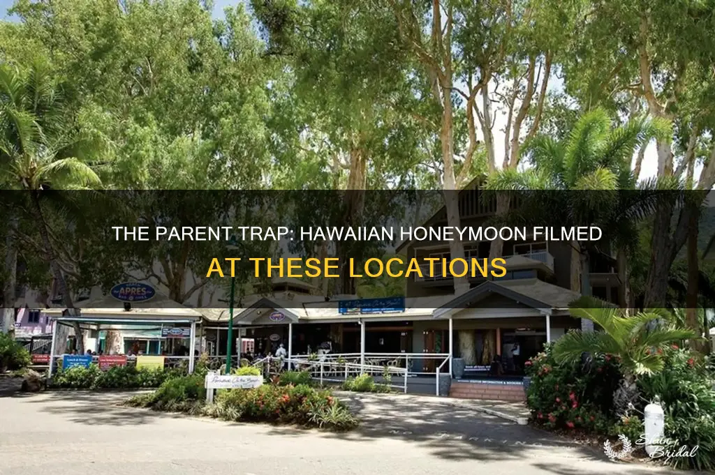 where was parent trap hawaiian honeymoon filmed