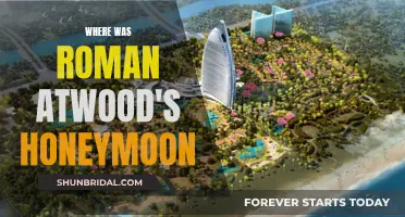 Roman Atwood's Honeymoon: A Journey to the Mountains