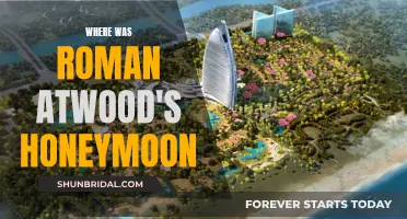 Roman Atwood's Honeymoon: A Tropical Escape to Hawaii