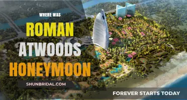 Roman Atwood's Honeymoon Destination: A Romantic Getaway Revealed
