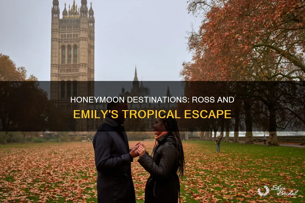 where was ross and emily
