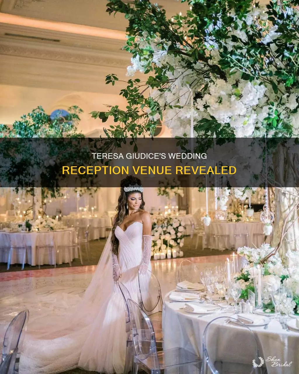where was teresa giudice wedding reception
