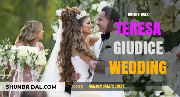 Teresa Giudice's Wedding Venue: A Look Back