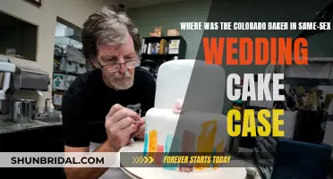 Baker's Stand: Same-Sex Wedding Cake Case in Colorado