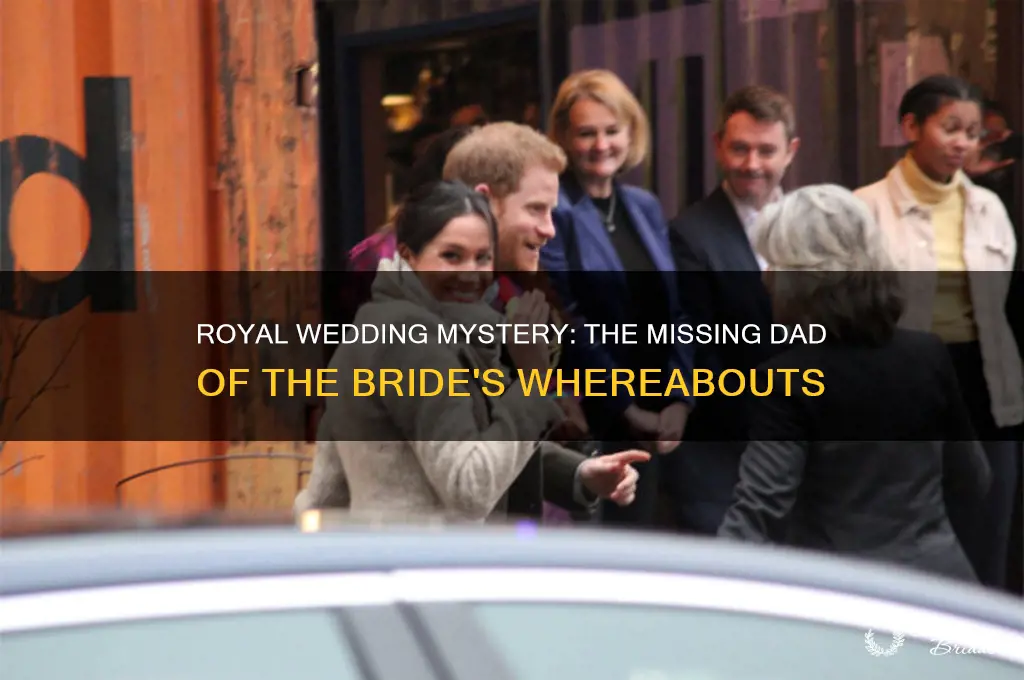 where was the dad of the bride at royal wed