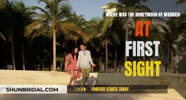 Honeymoon Destinations of 'Married at First Sight' Couples Revealed