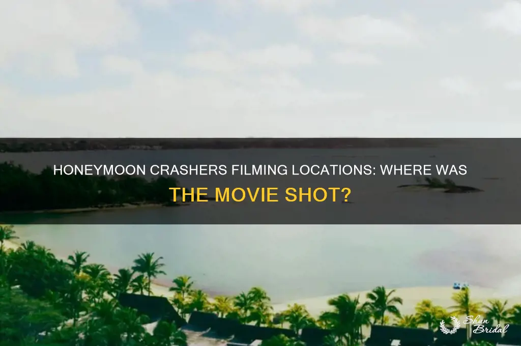 where was the movie honeymoon crasher filmed at