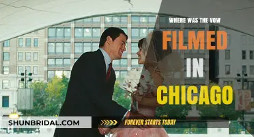 The Vow's Chicago Filming Locations: A Romantic Movie Tour