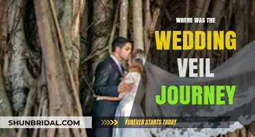 Tracing the Romantic Journey of the Wedding Veil Across Cultures