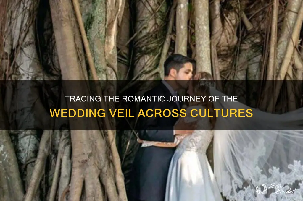 where was the wedding veil journey