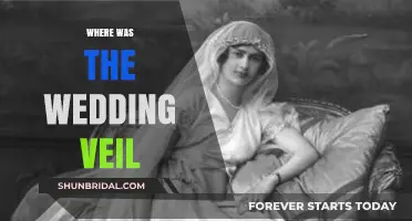 Unveiling the Mystery: Tracing the Origins of the Wedding Veil