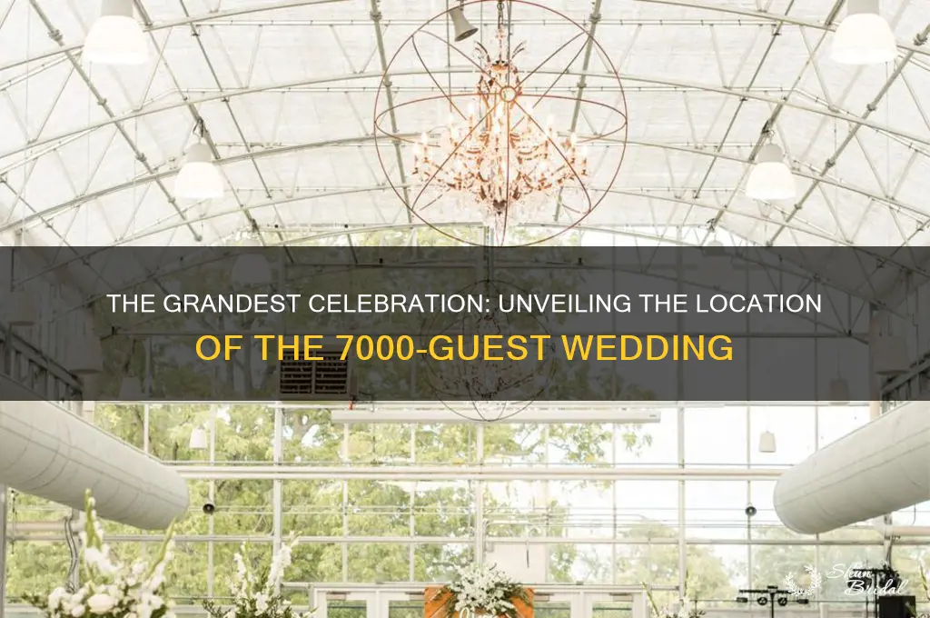where was the wedding with 7000 guests