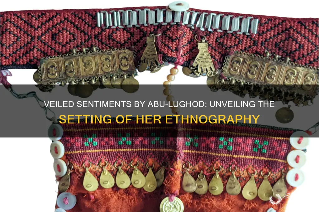 where was veiled sentiments by abu lughod set