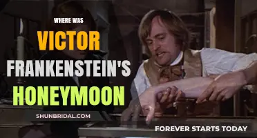 Victor Frankenstein's Honeymoon: Unraveling the Mystery of His Post-Wedding Escape