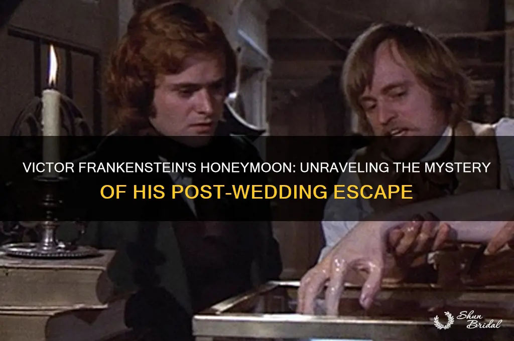 where was victor frankenstein