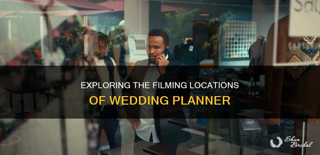 where was wedding planner filmed