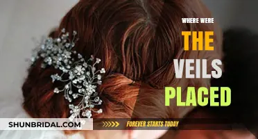 Unveiling the Mystery: Where Were the Veils Placed?