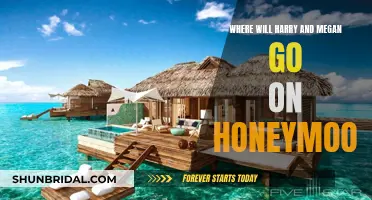 Harry and Megan's Honeymoon: Where Will They Go?