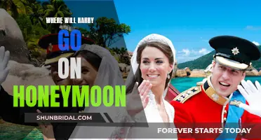 Harry's Honeymoon: A Royal Adventure Awaits