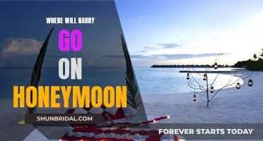 Harry's Honeymoon: Where Will He Go?