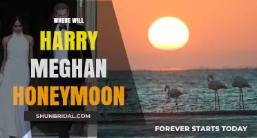 Harry and Meghan's Honeymoon Destination: Where Will They Escape?